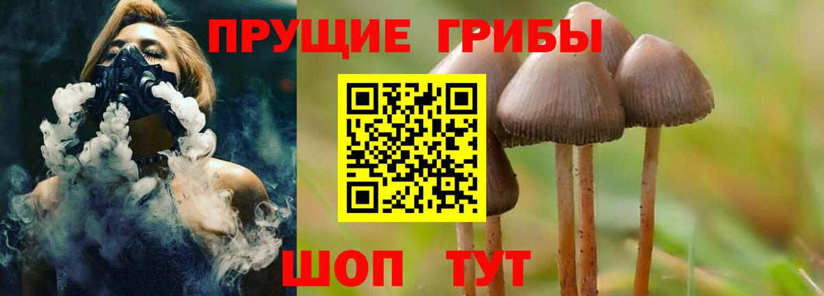 Сарапул  Псилоцибиновые грибы Psilocybine cubensis  Вход с VPN 